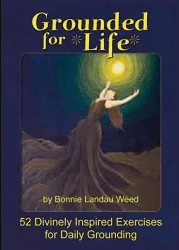 Box cover of Grounded for Life: 52 Exercises for Daily Grounding